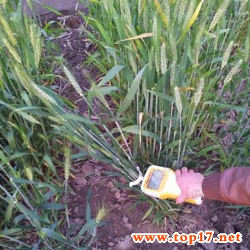 便攜式作物抗倒伏測(cè)定儀 YYD-ID